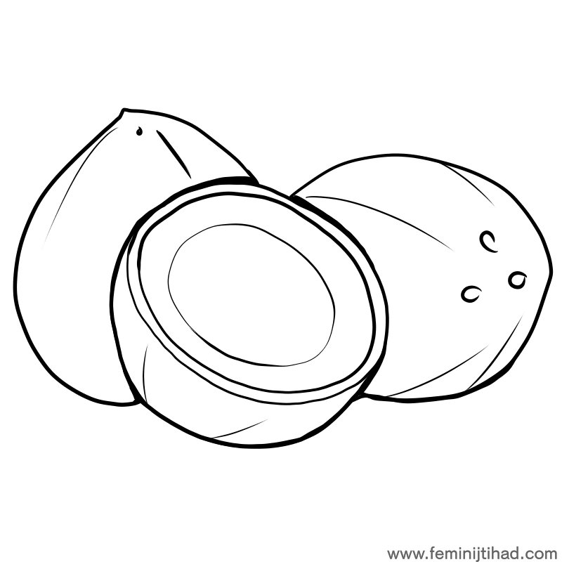 800x800 Coconut Coloring Pages Printable Coloring Pages For Kids