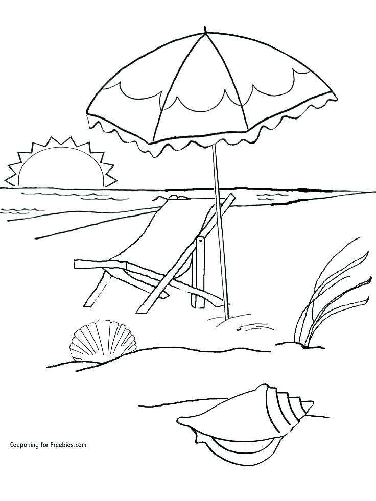 736x981 Palm Tree Coloring Page Coconut Palm Tree Coloring Page