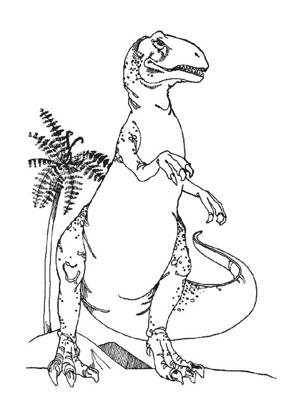 600x800 T Rex Standing Taller Than Coconut Tree Coloring Page Color Luna