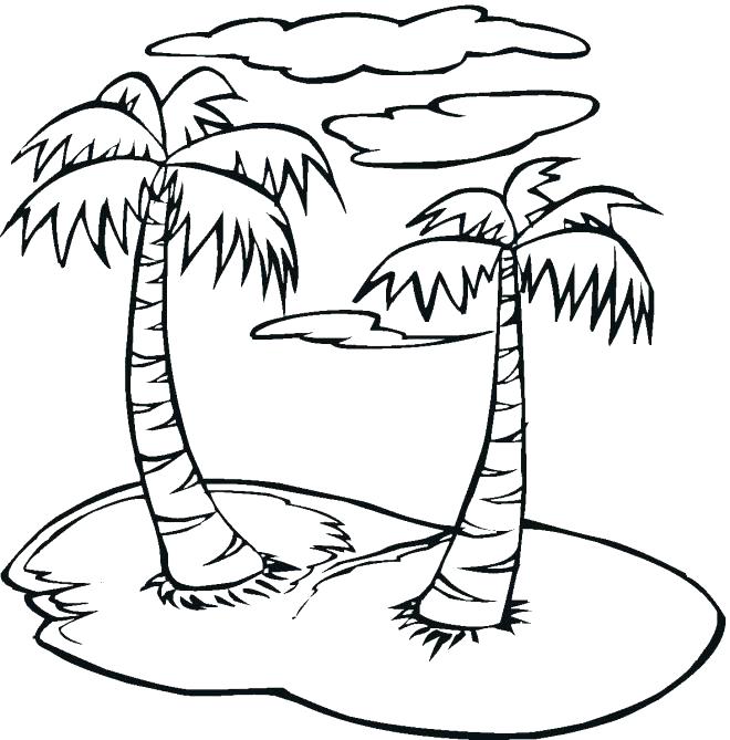 660x669 Coconut Palm Tree Coloring Page