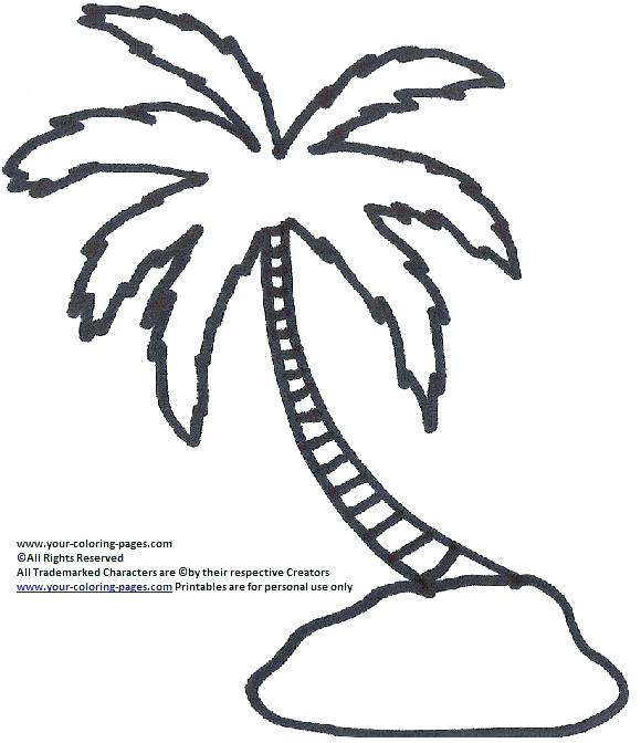 580x672 Coconut Tree Coloring Page