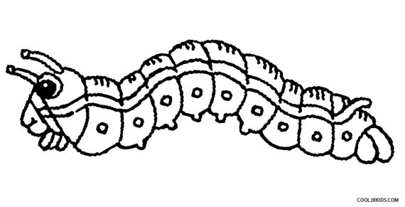 570x291 Coloring Page Caterpillar