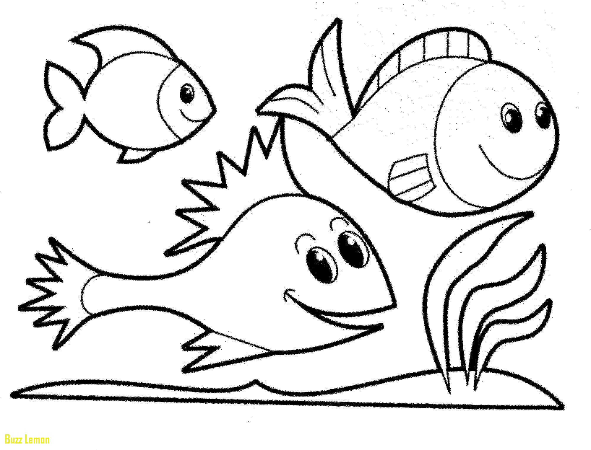 2000x1524 Fresh Coloring Page Of Fish Buzz Coloring