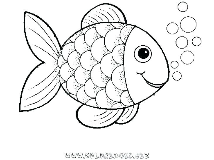 730x547 Idea Saltwater Fish Coloring Pages For Fish Color Pages