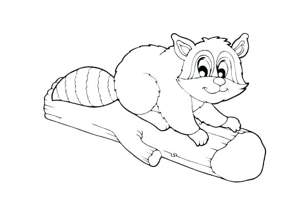 600x423 Border Collie Colouring Pages Kids Coloring Raccoon Coloring Pages