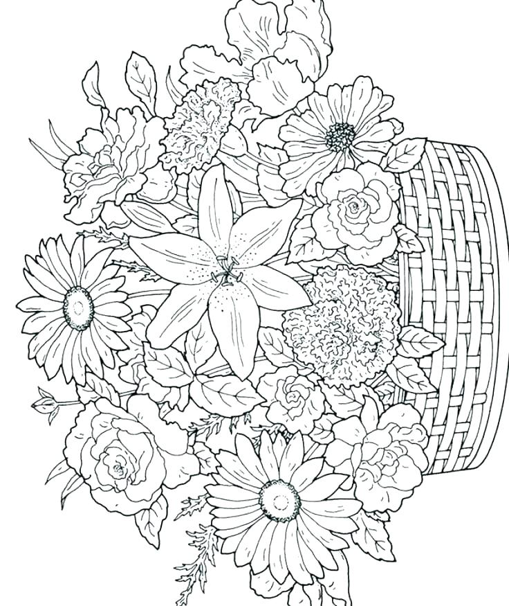 736x875 Amazing Rose Flower Coloring Pages Print Flowers Color Adults