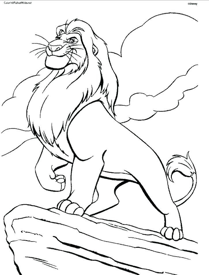 725x953 Lion Color Page Drawn Lion Coloring Page Lion King Kovu
