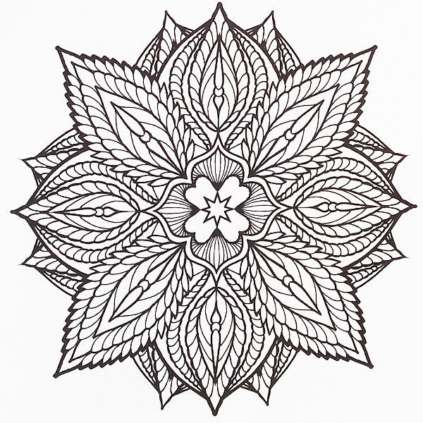 600x600 Color Me Crazy Art Therapy