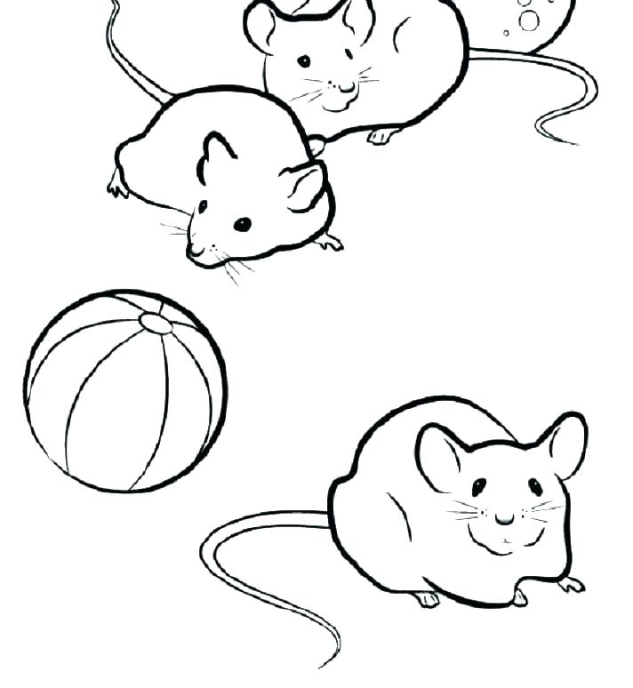 712x774 Red Coloring Page Color Red Coloring Pages Crayon Coloring Pages