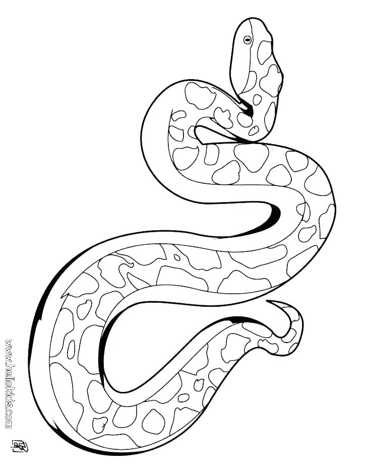 728x941 Snakes Coloring Pages Snakes Coloring Pages Snake Coloring Page