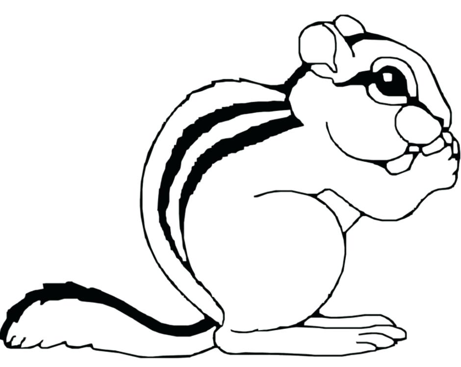 940x750 Chipmunk Pictures To Color Chipmunk Coloring Pages Colorado