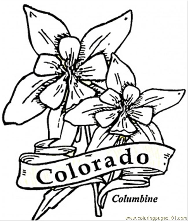 650x765 Colorado Coloring Page