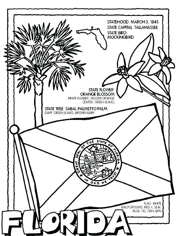 627x815 Colorado State Flag Coloring Page State Coloring Pages In Addition