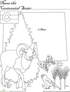 235x309 Colorado State Bird Buntings, Learning And Coloring Worksheets