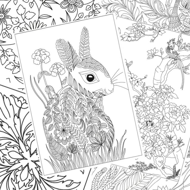 800x800 Colored Pencil Techniques How To Color Flowers And Leaves