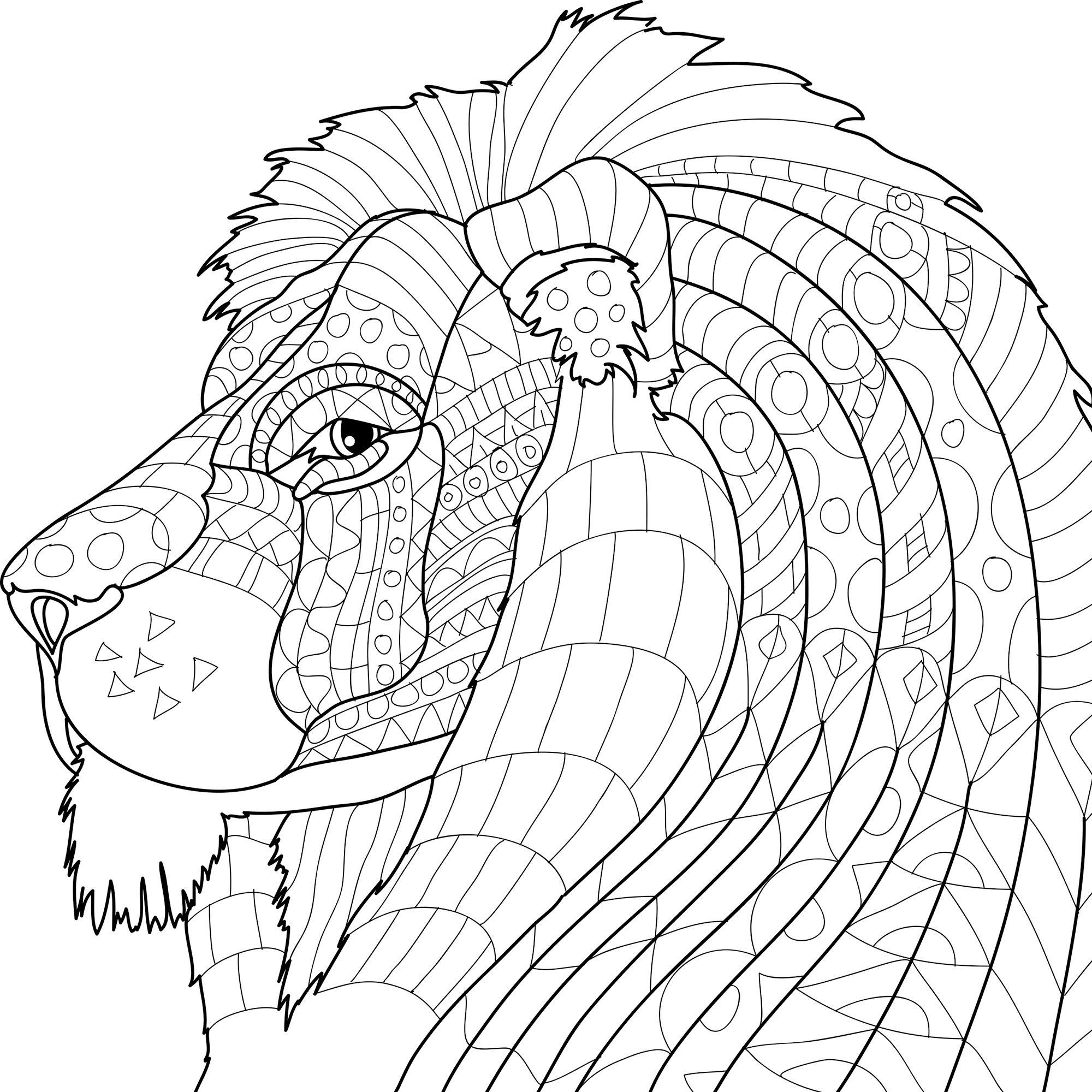 2000x2000 Animal Kingdom Adult Coloring Book Set With Colored