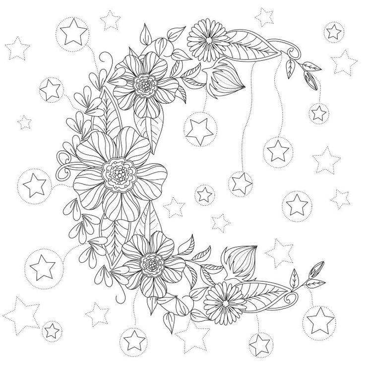 736x736 Colouring Pages Borders Luxury Floral Moon Coloring Page Design Ms
