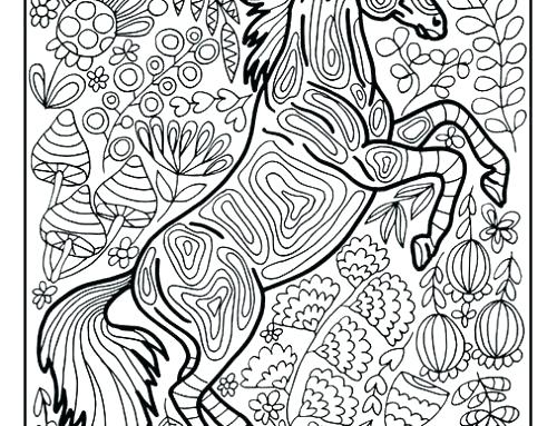 500x383 Coloring Collie Coloring Pages Border Horse Page Free Puppy