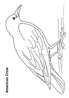 236x333 Download Free Printable Thirsty Crow Story Coloring Pages To Color