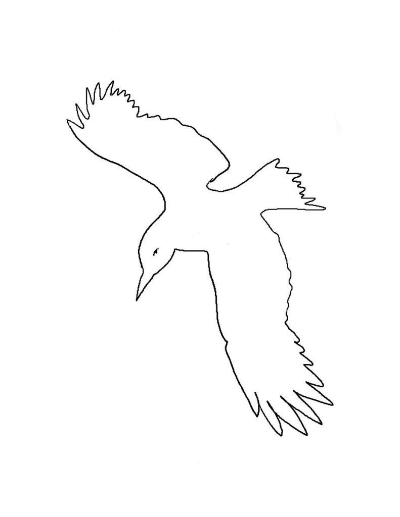 791x1024 Liberal Flying Crow Coloring Page Sheet Pages