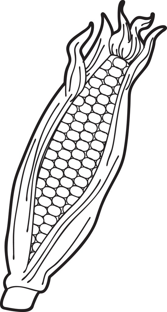 550x1024 Free Printable Ear Of Corn Coloring Page For Kids Supplyme