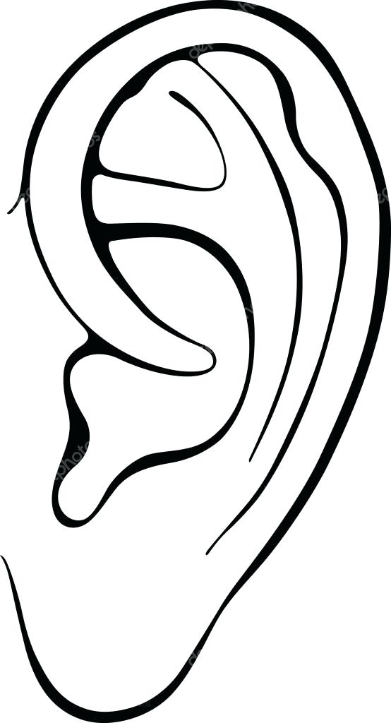 554x1024 New Ear Coloring Page For Ear Coloring Pages Bunny Ear Coloring
