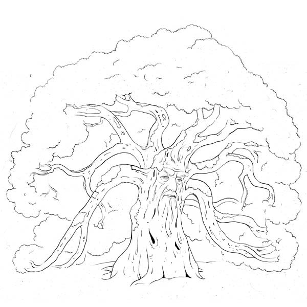 600x600 Forest Guard Oak Tree Coloring Page Color Luna
