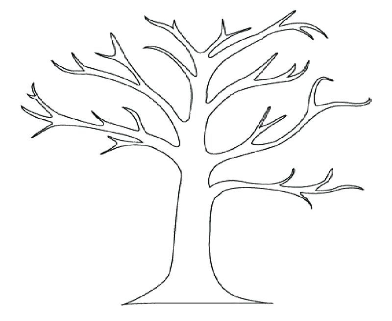 800x654 Oak Tree Coloring Page Perfect Tree Coloring Pages On Image