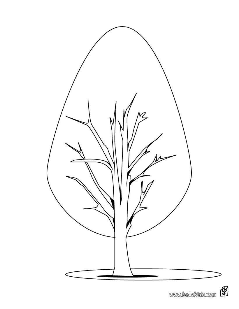 820x1060 Oak Tree Coloring Pages