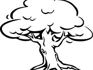 320x240 Tree Pictures For Colouring Oak Tree Coloring Page For Kids Color