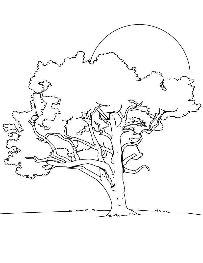 820x1060 Barn And Oak Tree Coloring Pages Download Coloring For Kids