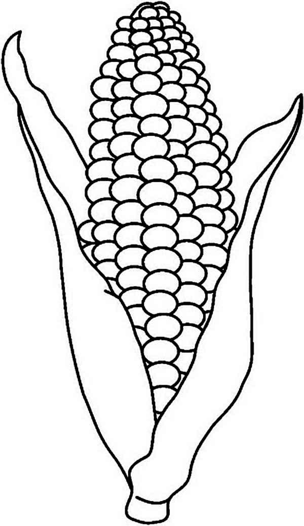 600x1038 Corn Coloring Pages Corn Cob Coloring Page Corn On Cob Template