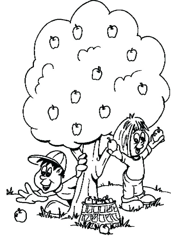 600x839 The Giving Tree Coloring Pages The Giving Tree Coloring Pages