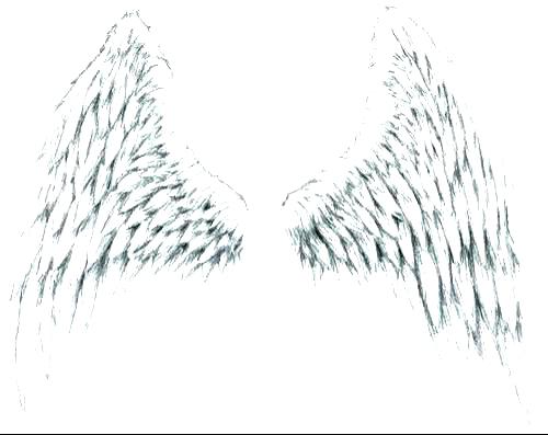 500x397 Awesome Of Angel Wings Coloring Pages Stock Coloring Pages