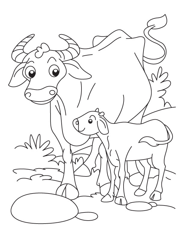 612x792 Buffalo Calf Coloring Pages Download Free Buffalo