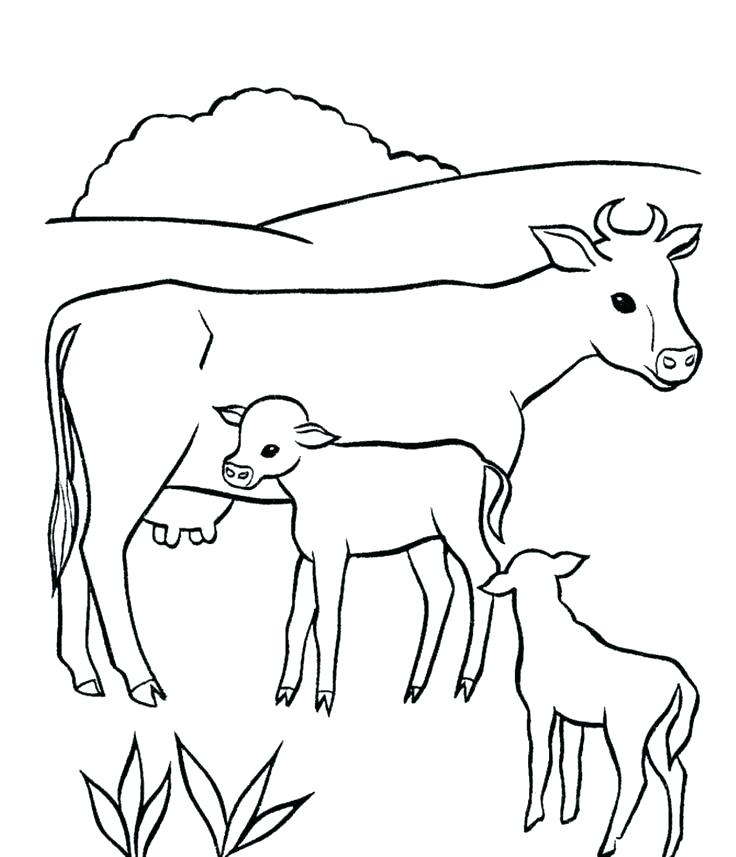 736x857 Coloring Page Cow Lovely Coloring Pages Of Animals And Their