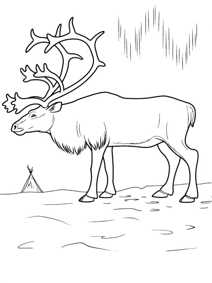 878x1171 Coloring Pages Of Animals And Their Babies