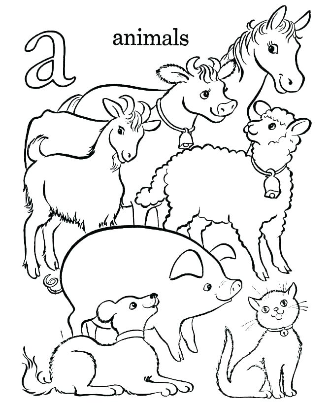 670x820 Baby Farm Animals Coloring Pages Farm Animals Coloring Page Baby