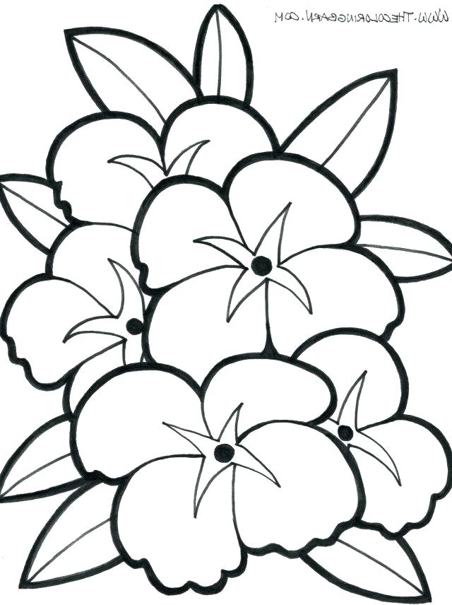 640x856 Coloring Pages As Well As Coloring Pages Big Coloring Pages