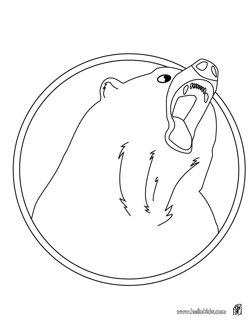 Coloring Pages Black Bear