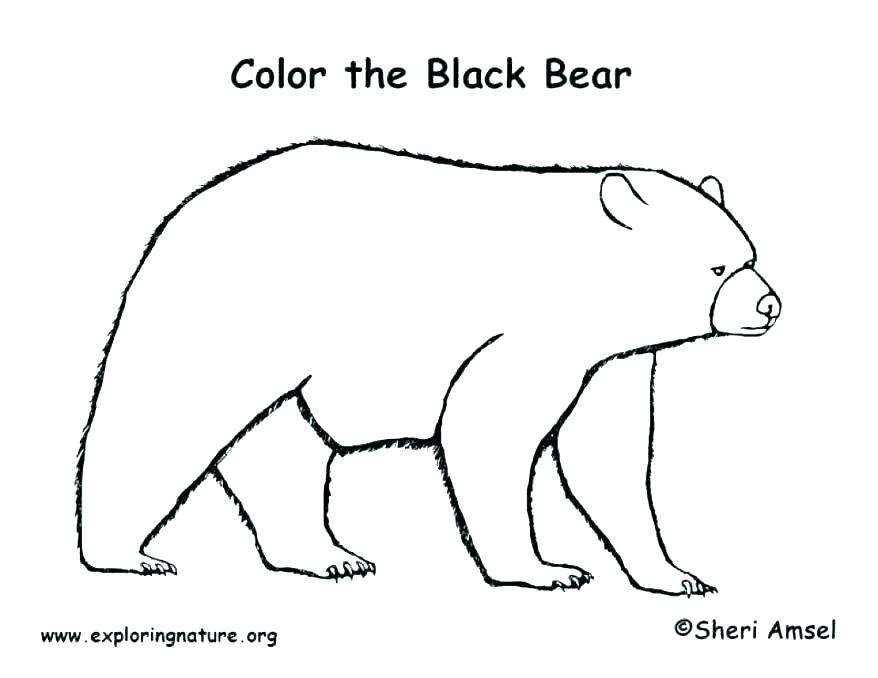 878x678 Coloring Page Bear Coloring Page Of Bear Black Bear Coloring Page