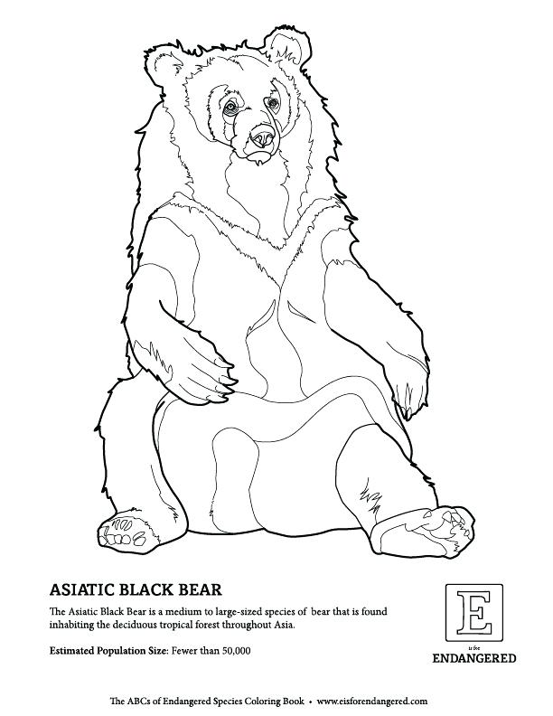 612x792 Endangered Species Coloring Pages Black Bear Free Endangered