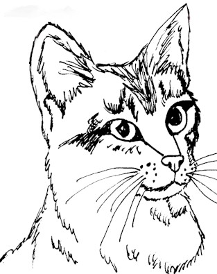 313x395 Cat Color Pages Printable Cat And Kitten Coloring Page Cats