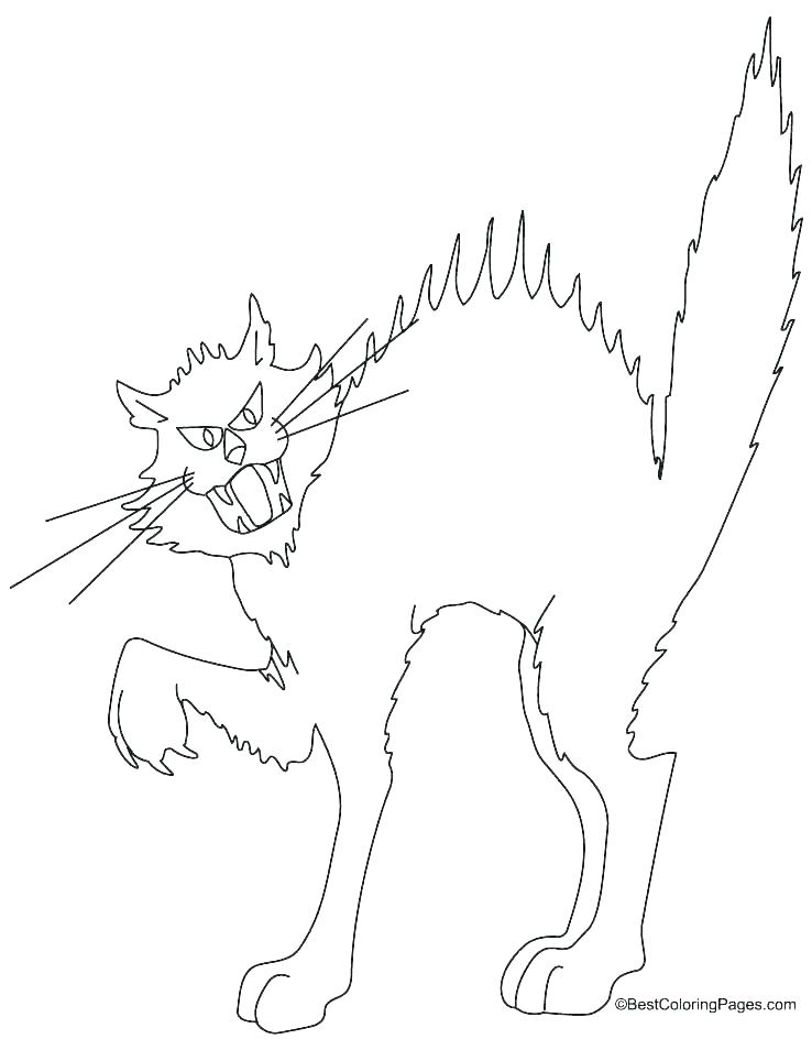 738x954 Black Cat Coloring Page