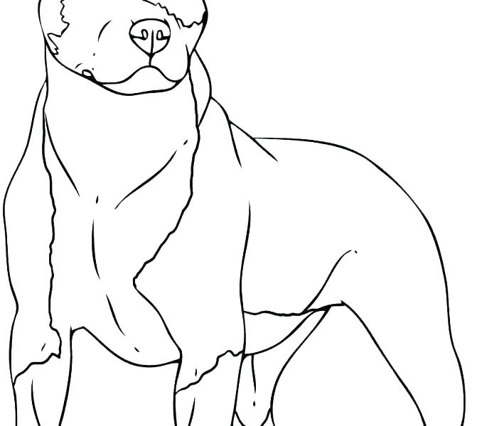 678x600 Dog With A Blog Coloring Pages Border Collie Coloring Pages Border