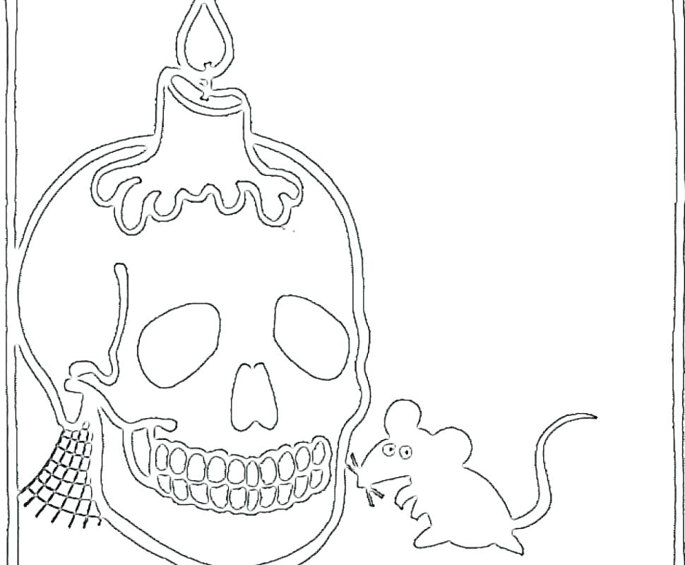 970x800 Skull Anatomy Coloring Pages Skull Coloring Pages Anatomy Anatomy