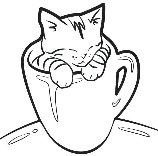 600x592 Kitten Pictures To Color Coloring Page Sporturka Cat Kitten