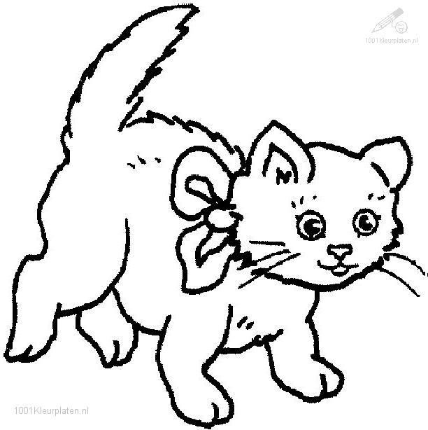 612x614 Cat Color Pages Printable Coloringpages Animals Gtgt Cats