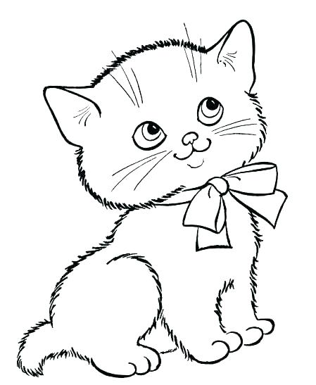 449x547 Coloring Pages Cat