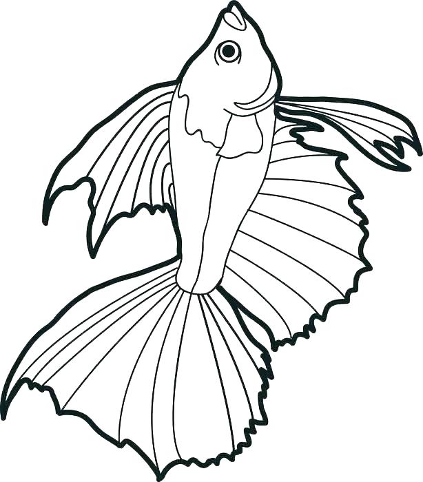 614x700 Clown Coloring Pages Clown Fish Coloring Page Fish Coloring Pages